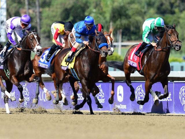 The Haskell Invitational is the feature race at Monmouth on Sunday